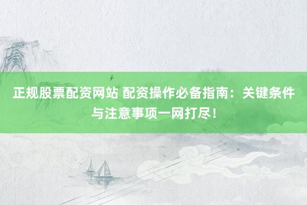 正规股票配资网站 配资操作必备指南：关键条件与注意事项一网打尽！