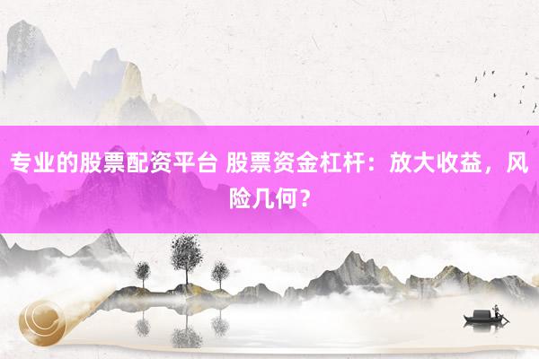 专业的股票配资平台 股票资金杠杆：放大收益，风险几何？