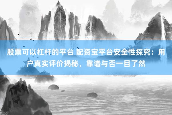 股票可以杠杆的平台 配资宝平台安全性探究：用户真实评价揭秘，靠谱与否一目了然