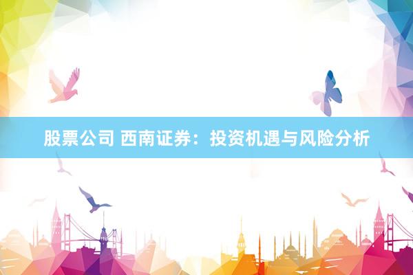 股票公司 西南证券：投资机遇与风险分析