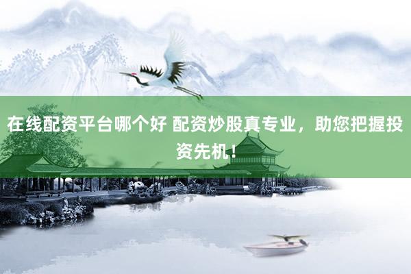 在线配资平台哪个好 配资炒股真专业，助您把握投资先机！