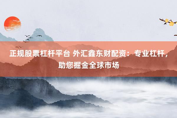 正规股票杠杆平台 外汇鑫东财配资：专业杠杆，助您掘金全球市场