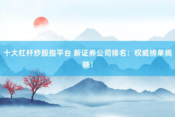 十大杠杆炒股指平台 新证券公司排名：权威榜单揭晓！