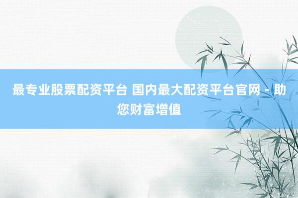 最专业股票配资平台 国内最大配资平台官网 - 助您财富增值
