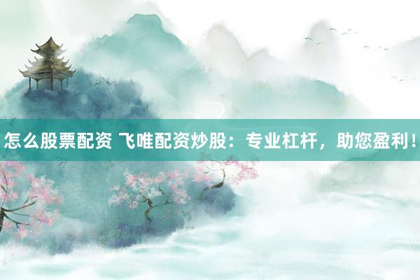 怎么股票配资 飞唯配资炒股：专业杠杆，助您盈利！