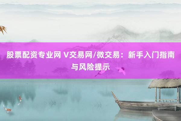 股票配资专业网 V交易网/微交易：新手入门指南与风险提示