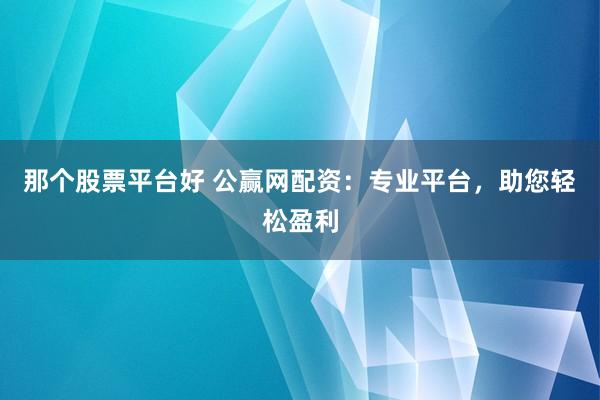 那个股票平台好 公赢网配资：专业平台，助您轻松盈利