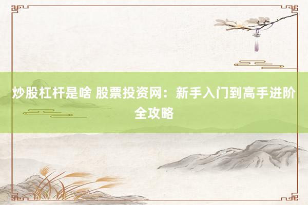 炒股杠杆是啥 股票投资网：新手入门到高手进阶全攻略