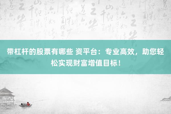 带杠杆的股票有哪些 资平台：专业高效，助您轻松实现财富增值目标！