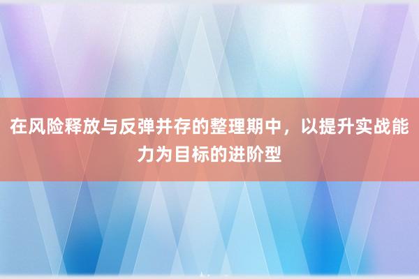 在风险释放与反弹并存的整理期中，以提升实战能力为目标的进阶型