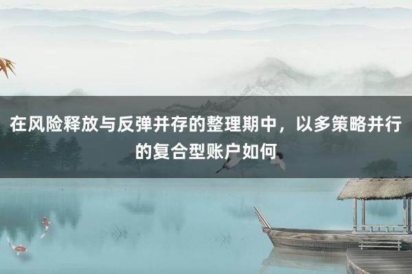 在风险释放与反弹并存的整理期中，以多策略并行的复合型账户如何