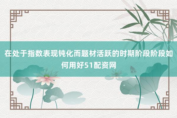 在处于指数表现钝化而题材活跃的时期阶段阶段如何用好51配资网