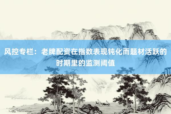 风控专栏：老牌配资在指数表现钝化而题材活跃的时期里的监测阈值