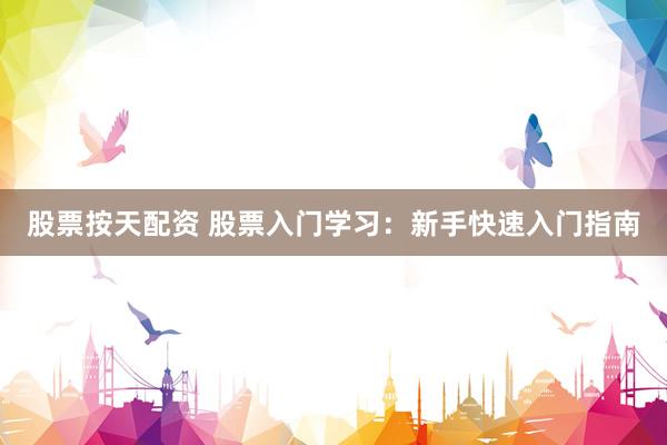 股票按天配资 股票入门学习：新手快速入门指南