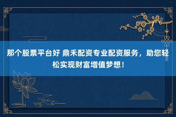 那个股票平台好 鼎禾配资专业配资服务,助您轻松实现财富增值梦想!
