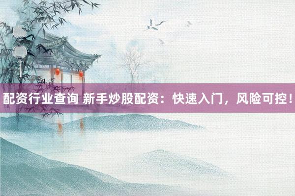 配资行业查询 新手炒股配资：快速入门，风险可控！
