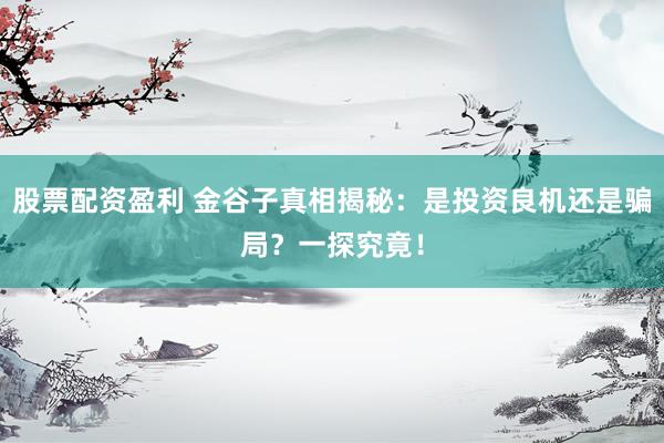 股票配资盈利 金谷子真相揭秘：是投资良机还是骗局？一探究竟！